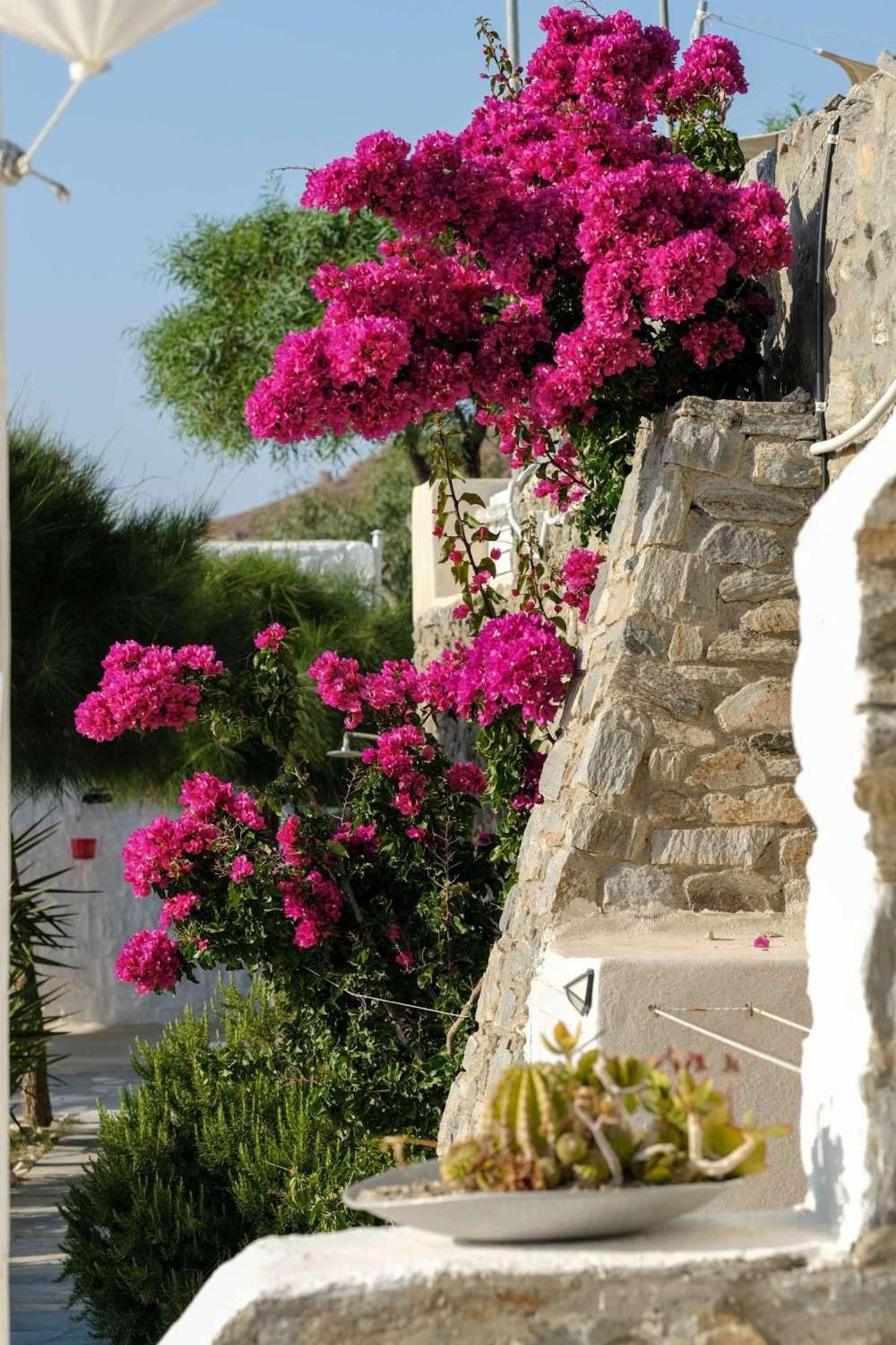 3 Paros All Season Villas מראה חיצוני תמונה
